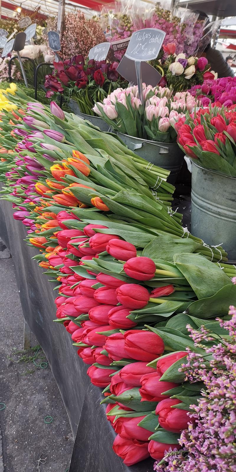Marché Bastille 5